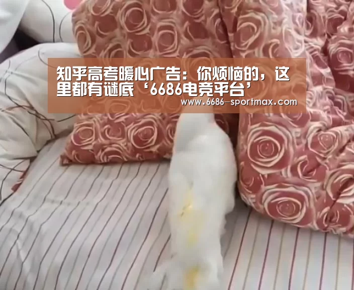 6686官网