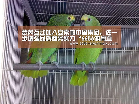 费芮互动加入安索帕中国集团,进一步增强品牌商务实力“6686体育直播”(图1) 6686体育直播
