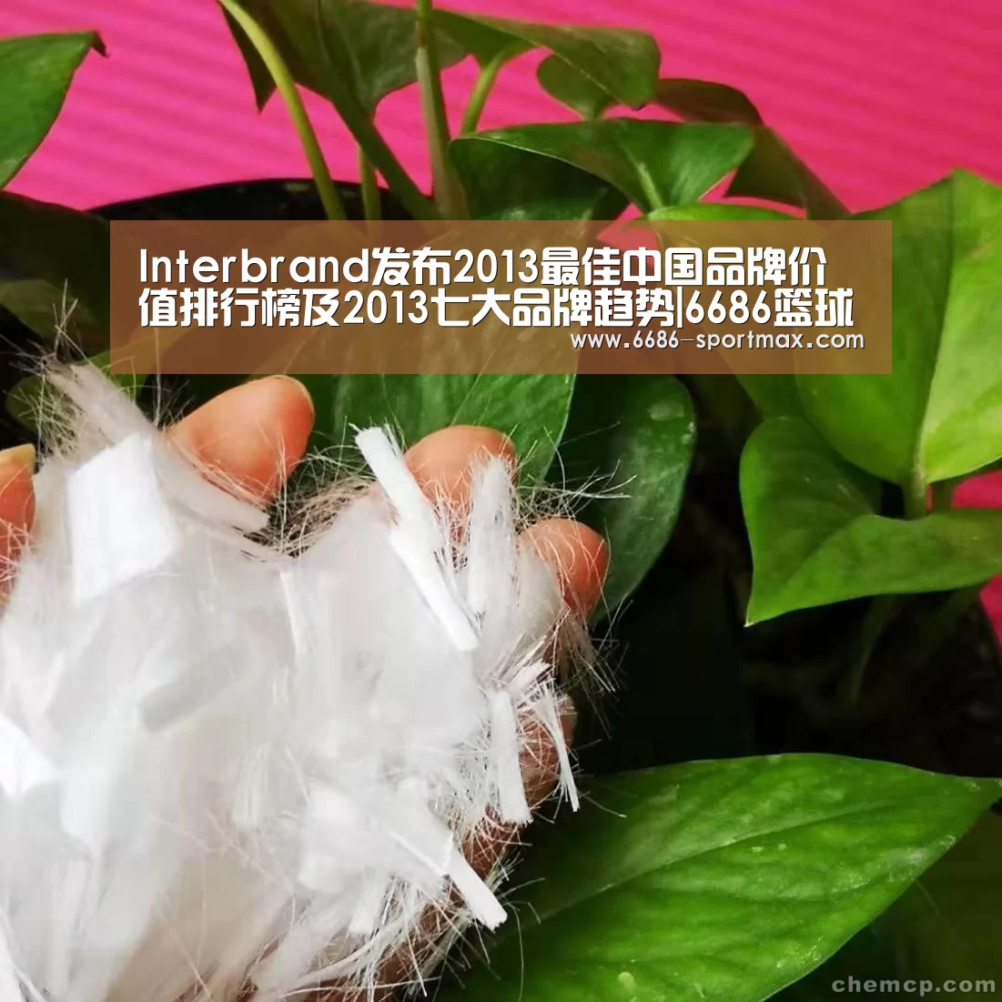 Interbrand发布2013最佳中国品牌价值排行榜及2013七大品牌趋势|6686篮球竞猜(图1) 6686体育直播